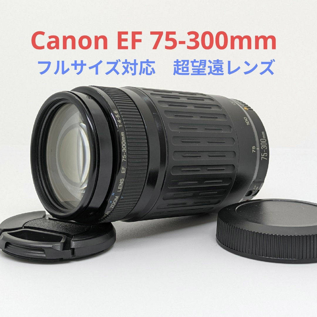 9月23日限定販売♪【超望遠レンズ】Canon EF 75-300mm