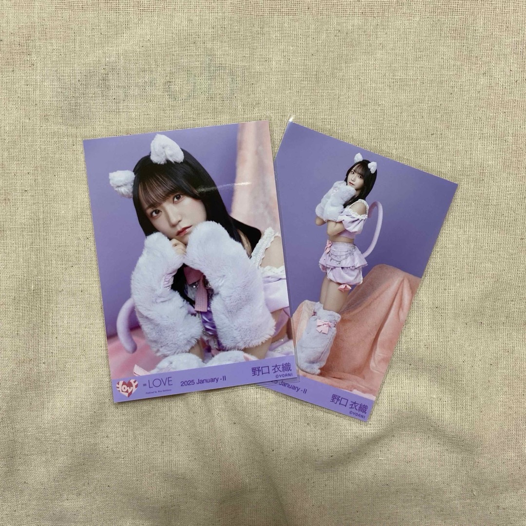 イコラブ 野口衣織 猫 直筆 野口衣織 猫衣装 直筆 野口衣織 7周年 猫衣装