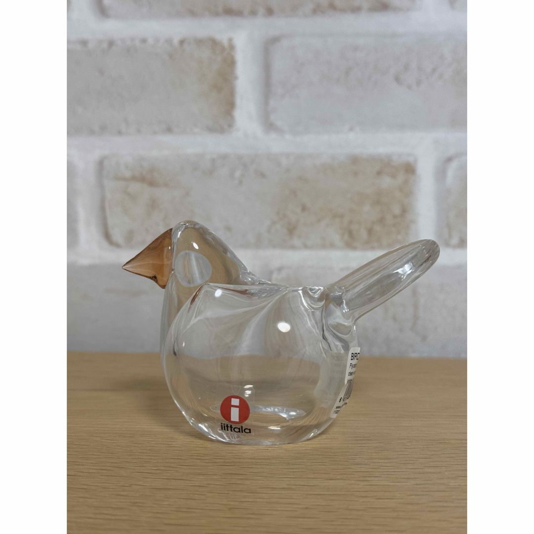 ⑫イッタラ バード シエッポ ＊ クリア×セリビアオレンジ