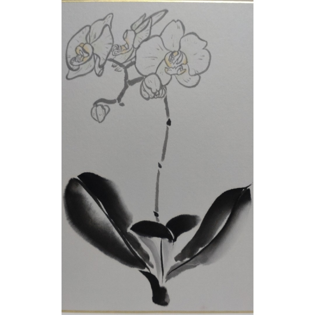 由水煌人伝統加賀友禅作家直筆胡蝶蘭逸品