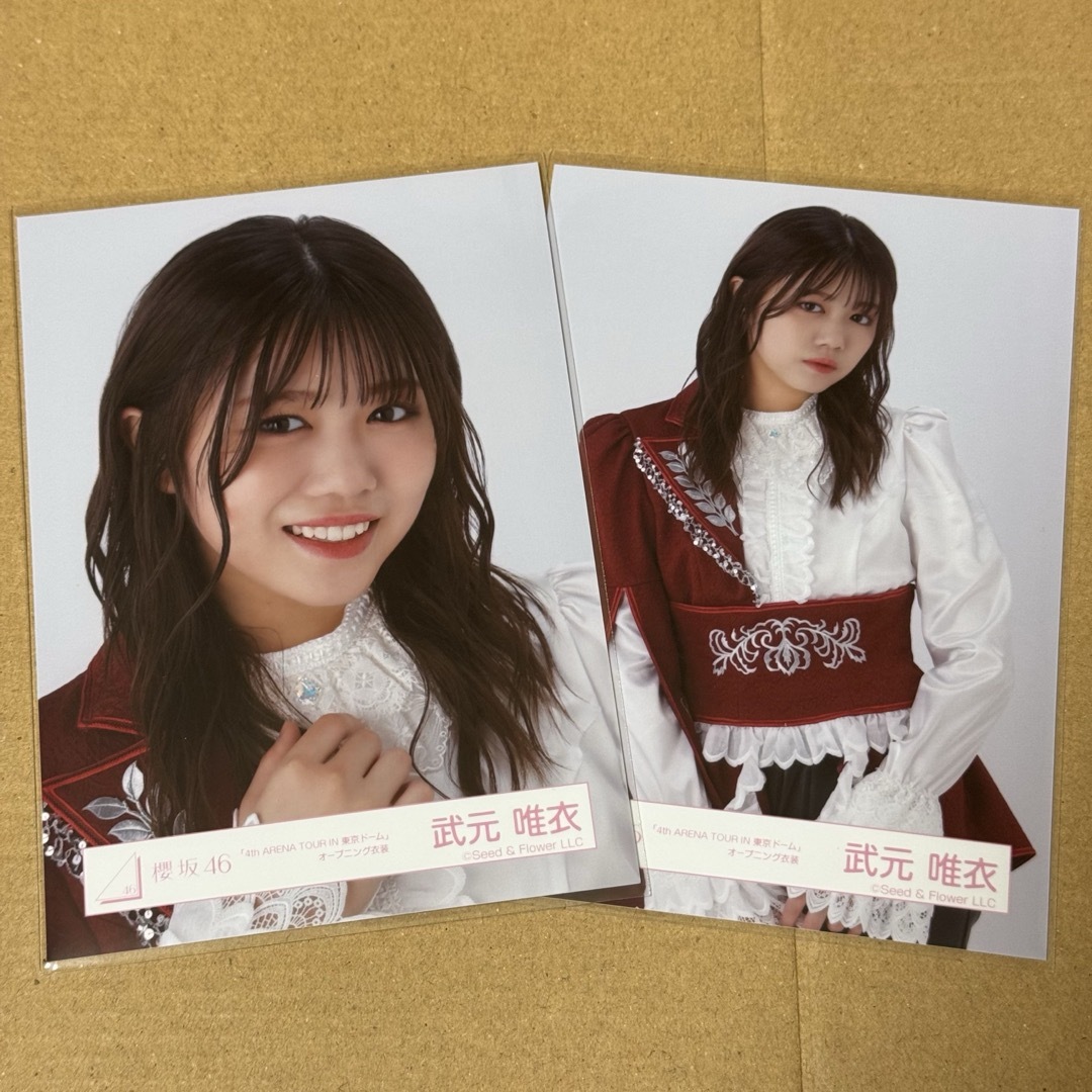 櫻坂46 生写真 武元唯衣 直筆サイン 東京ドーム 櫻坂46 生写真 直筆