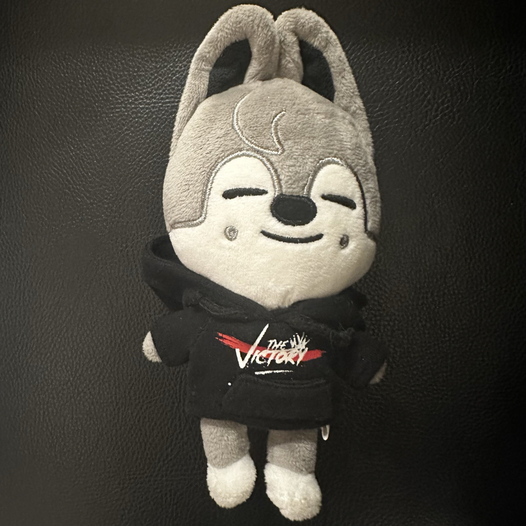 stray kids バンチャン セット ウルフチャン stray kids skzoo ウルフ