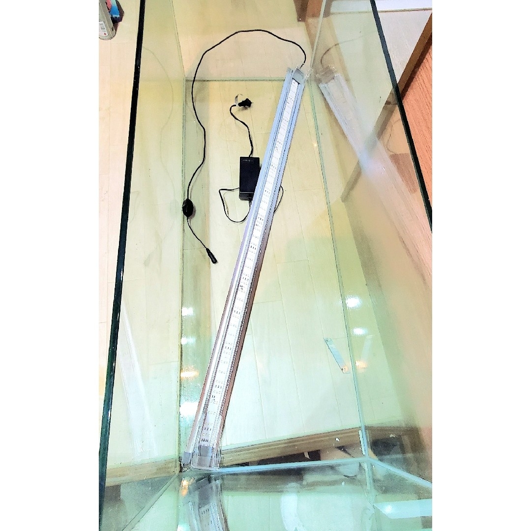 1200×450フレームレスオールガラス水槽 引き取り限定の通販 by