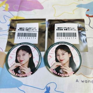 乃木坂46 生写真 乃木コレ 3期 4期 5期 まとめ売り 乃木坂46 OFFICIAL