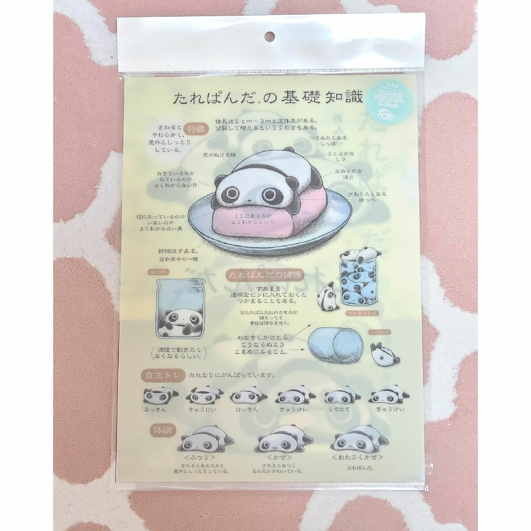 サンエックスキャラクター たれぱんだ 文房具メモ帳メモパッドノート