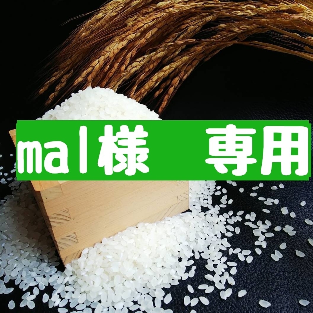 米軍本物ユーティリティカバーオールMサイズ100％コットン1997年官給品