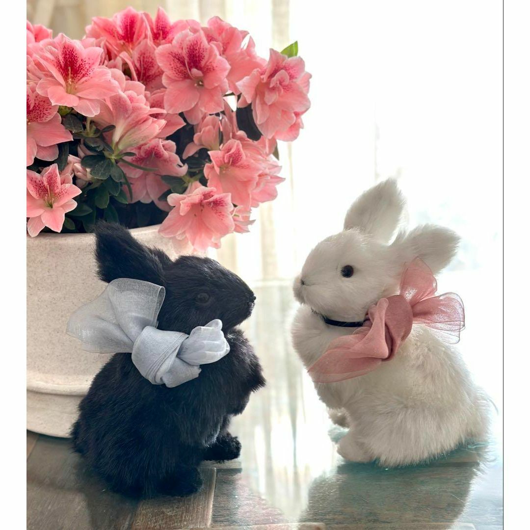 レア☆うさぎ ウサギ ぬいぐるみ オブジェ コレクション 置き物 飾り