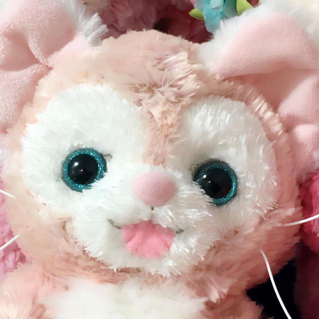 かっこうさぎ様☆確認page♡゜ジェラトーニ染色リメイクリクエスト