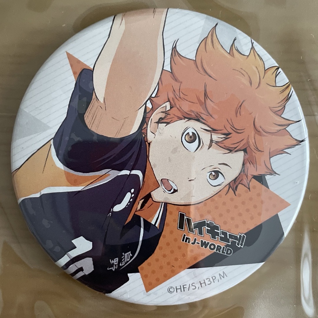 レアJ-WORLD限定 烏野フェス缶バッジ烏野 菅原孝支 ハイキュー J-World