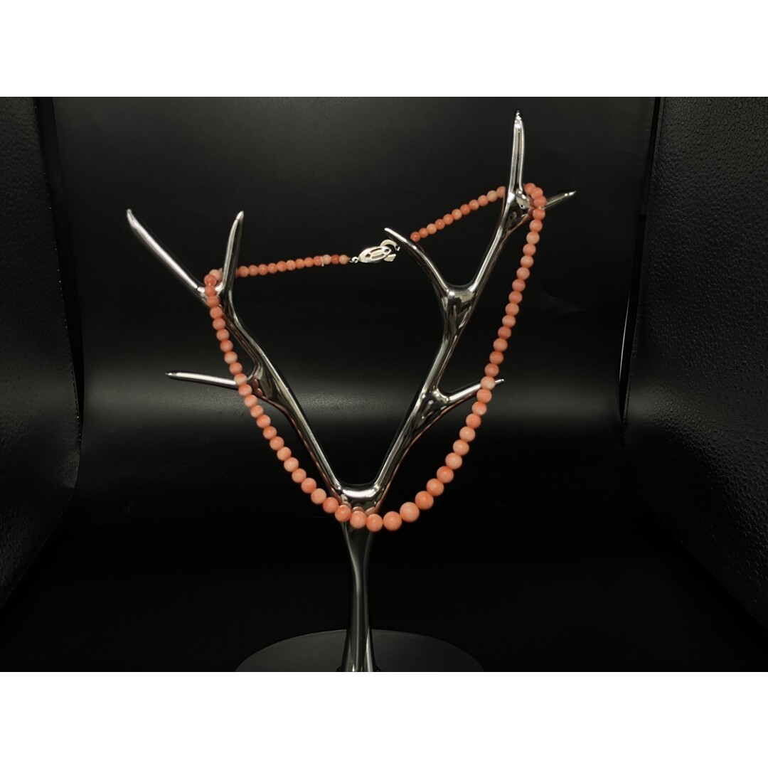 激レア！希少 本物 テーブルサンゴ 珊瑚 激レア！希少 本物 テーブル