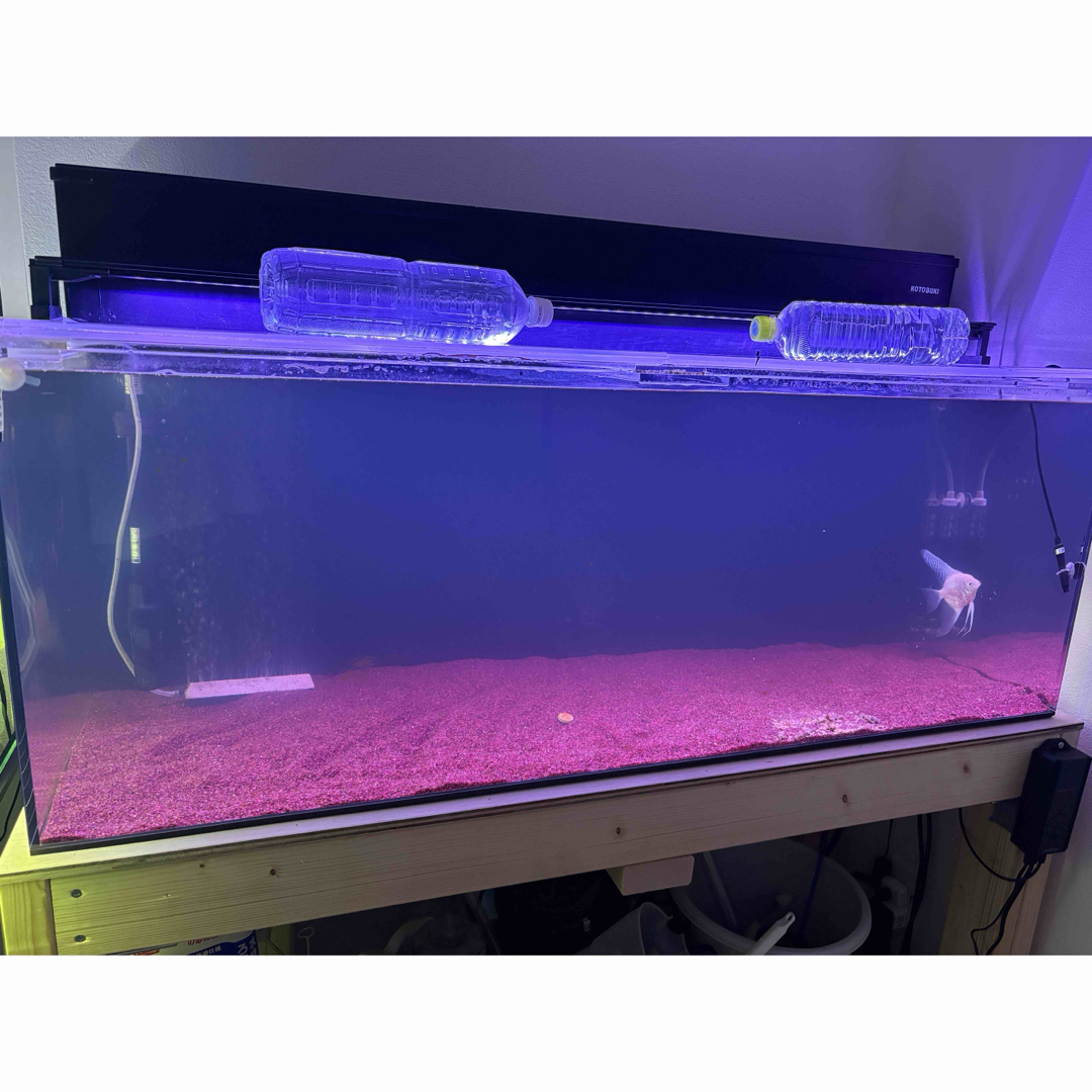 AQUA 引取限定 カンテツ水槽 上下2段セット 東京練馬区 AQUA 引取限定