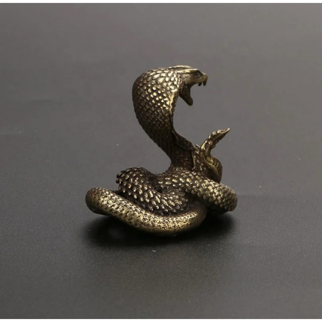 蛇巳年シマヘビ全長100cm 抜け殻破れなし商売繁盛寿運気上昇金運