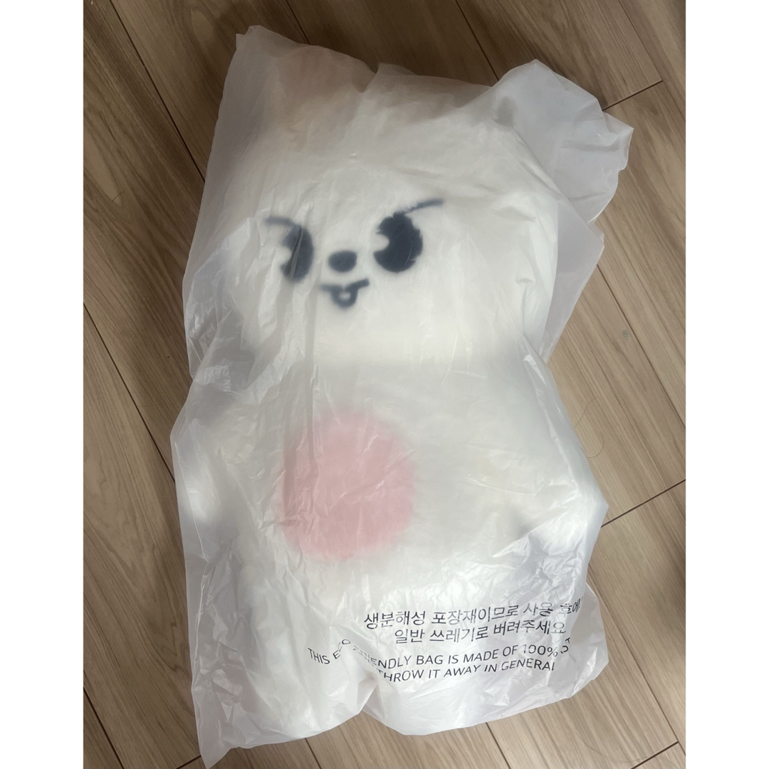 StrayKids SKZ 5'clock テディベア ぬいぐるみ チャンビン StrayKids