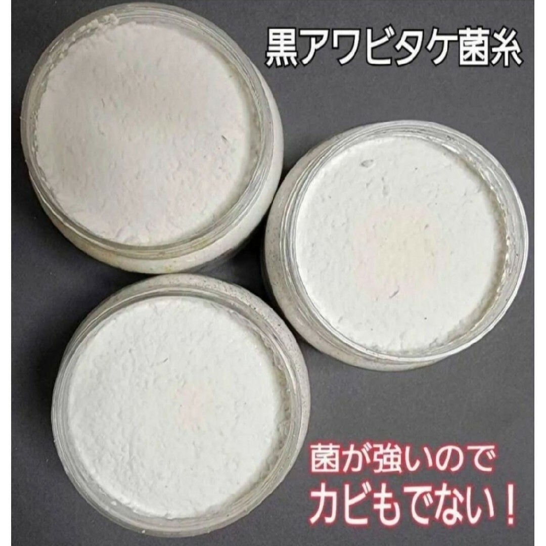 ニジイロクワガタにお薦め！黒アワビタケ菌糸瓶【8本】トレハロース