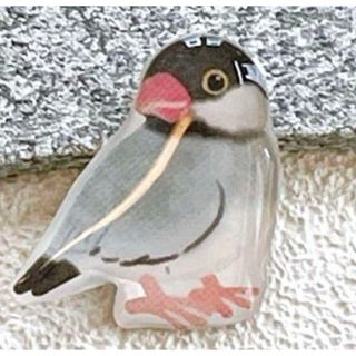 鳥 (シルバー/銀色系)のフリマアイテム一覧 文鳥 桜文鳥 シナモン文鳥