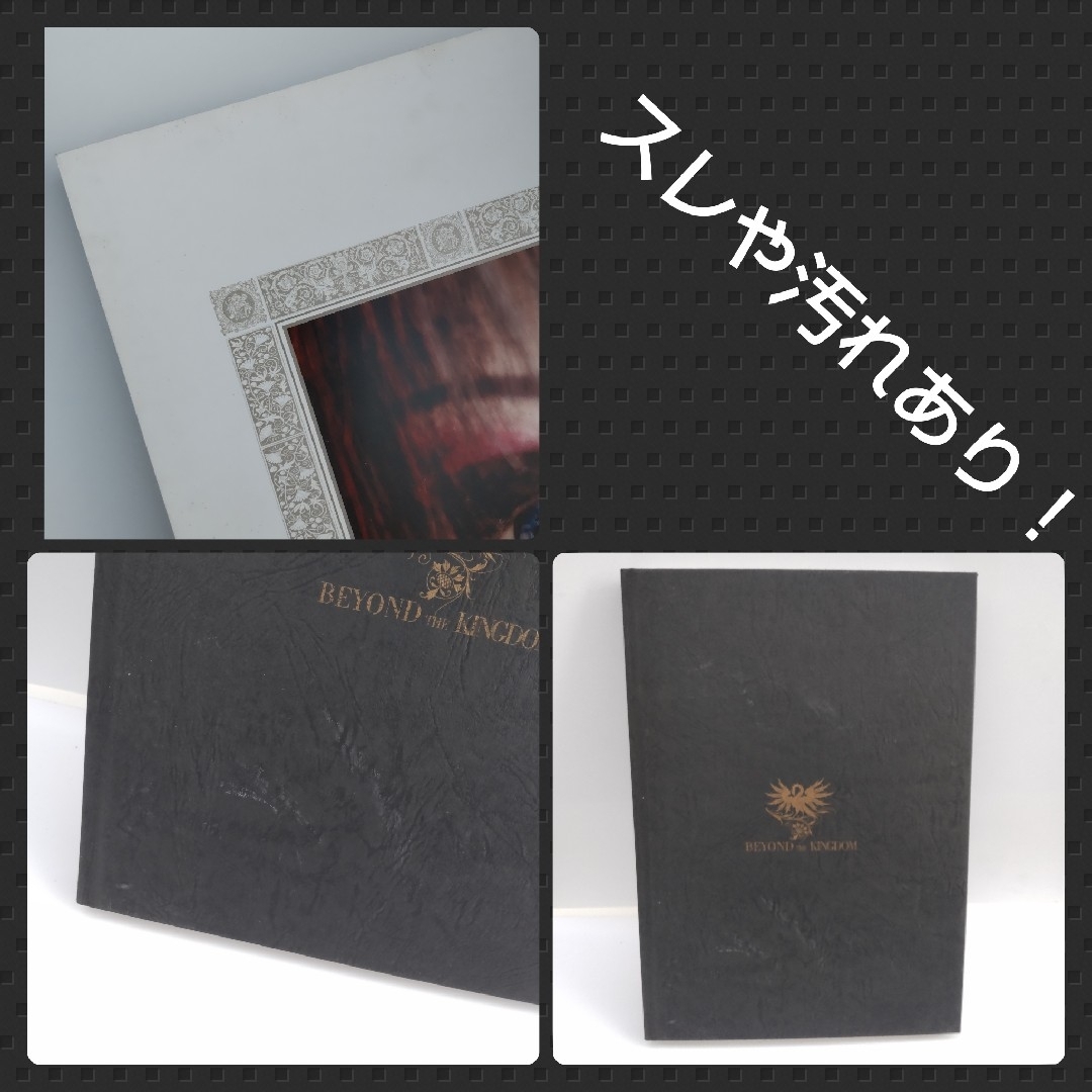 Beyond The Kingdom☆KISAKI COMPLETE BOOK The Key to the Kingdom