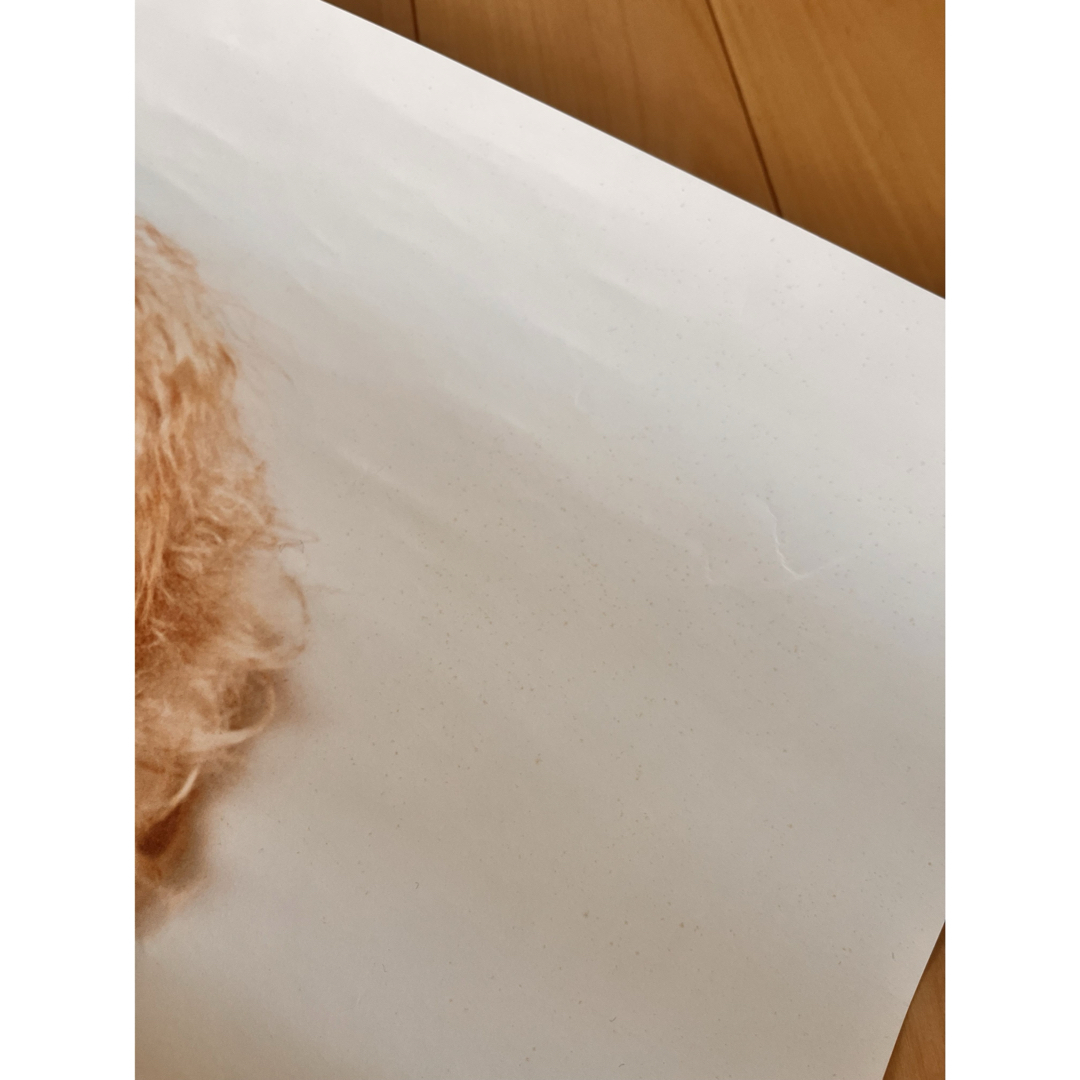 専用】フジファブリック 志村正彦 クロニクル ポスターの通販 by