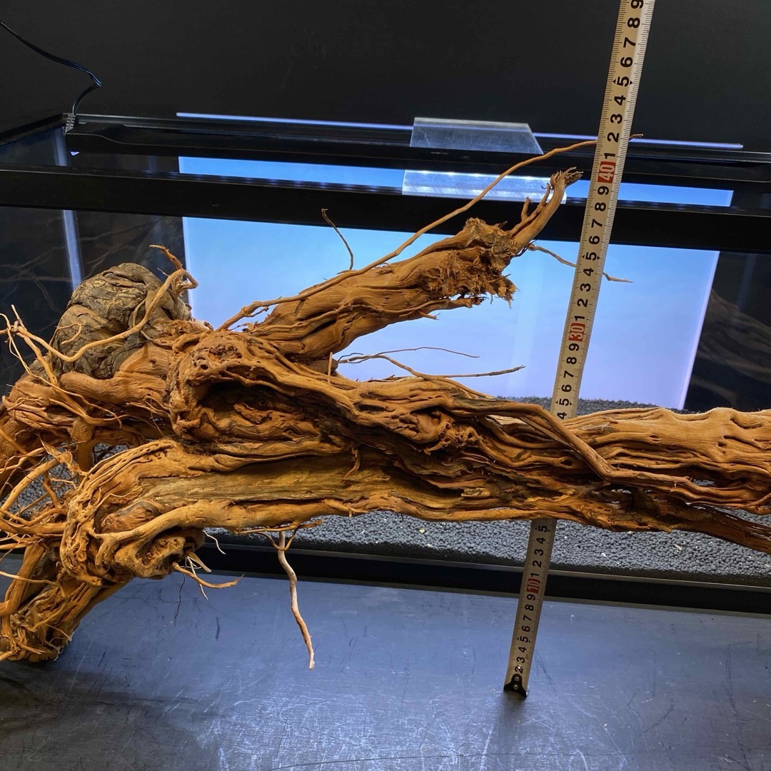 MRW-6371 特大流木1点物自立90cm水槽用アクアリウム爬虫類