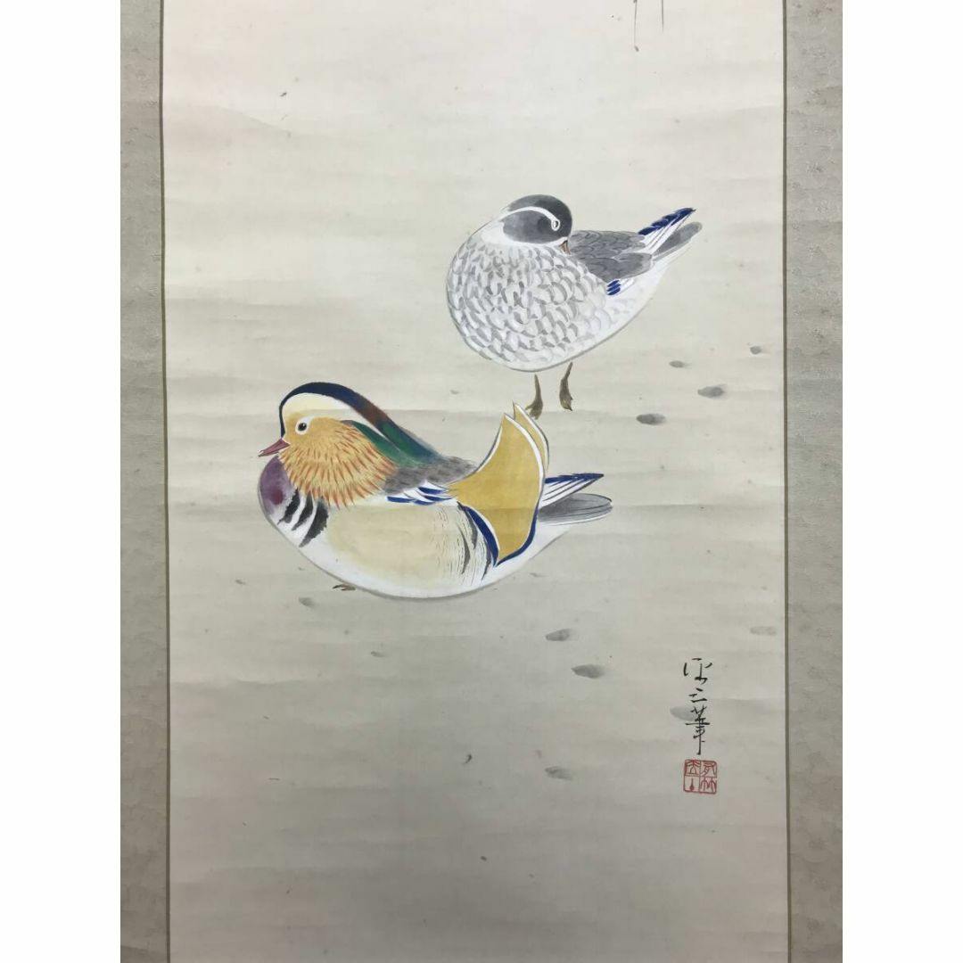 真作】掛軸 竹垣と七面鳥図 花鳥図 雅趣あふれる禽鳥図 合箱入 S13 真