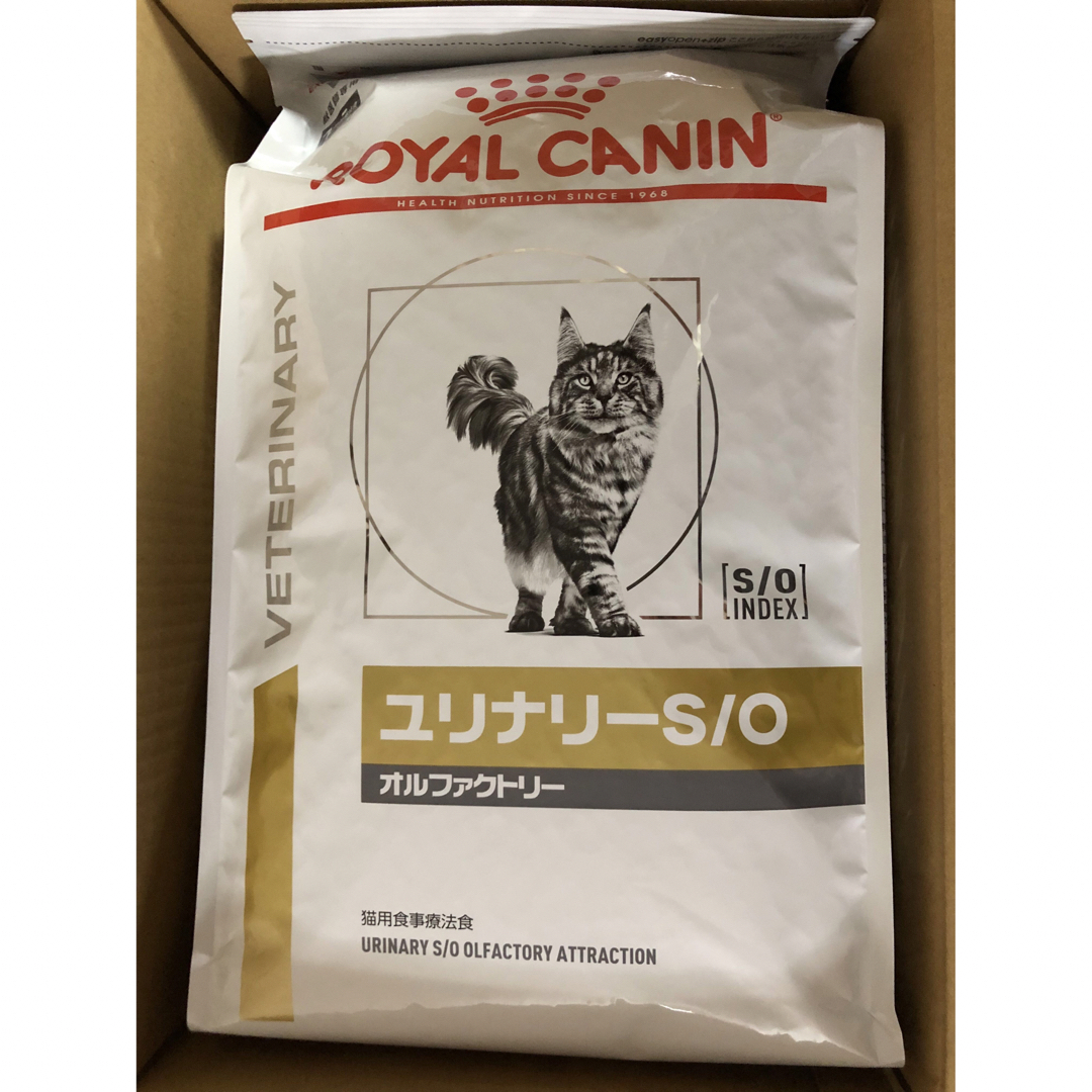 10kg×2袋 ロイヤルカナン インドア 猫 室内で生活する成猫用