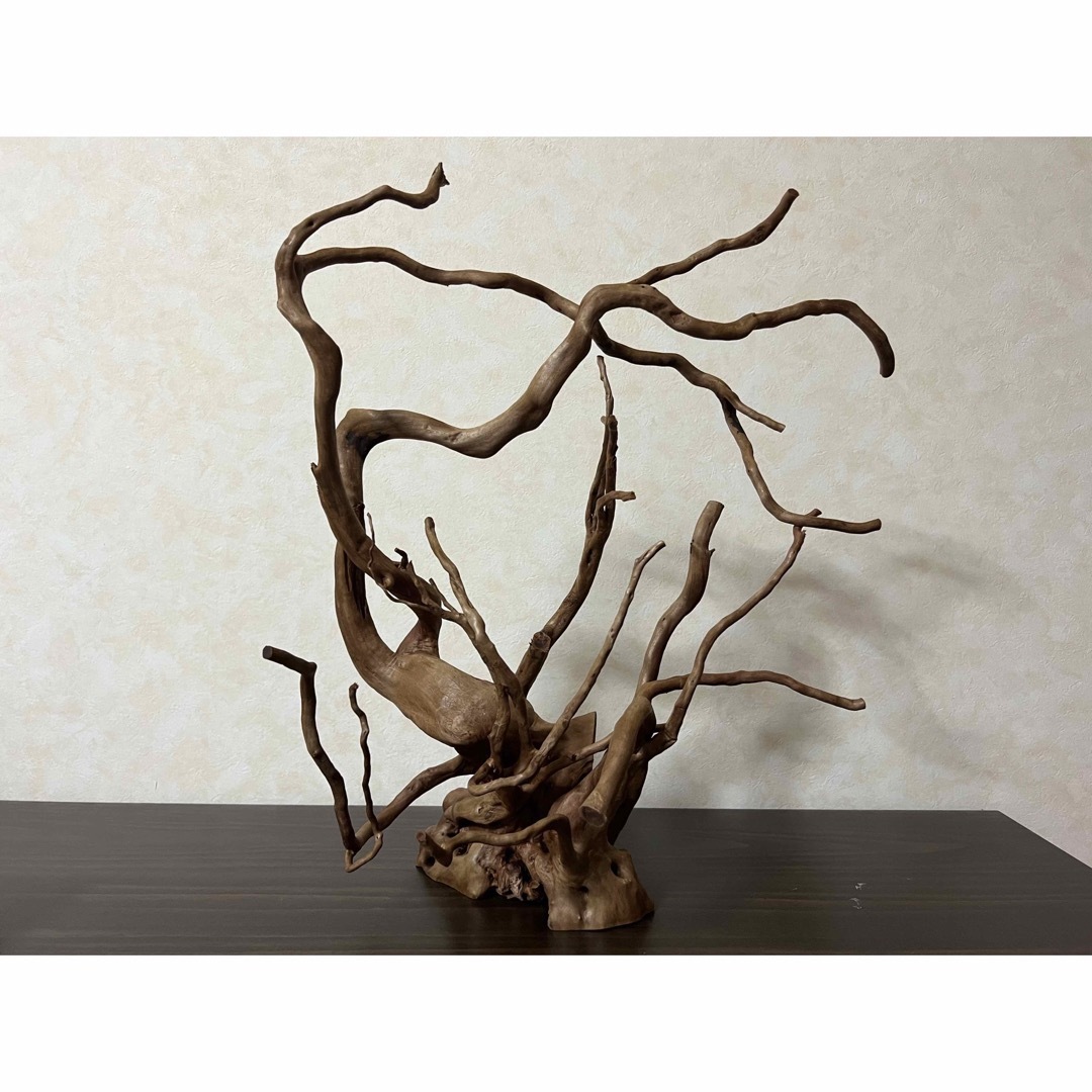 13003 ブランチウッド 流木 アクアリウム 沈水確認済 13003 ブランチ