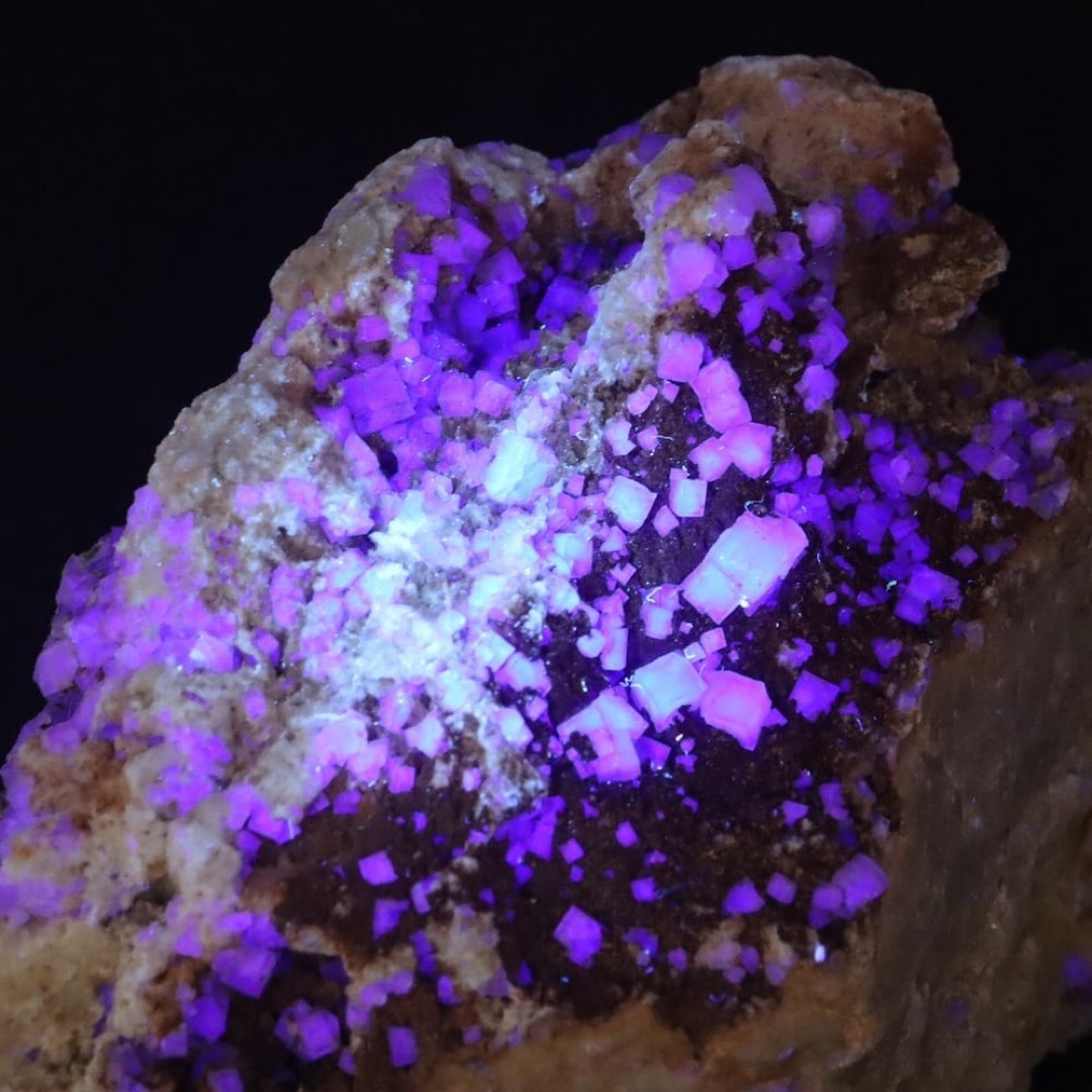 蛍石 ニューメキシコ アメリカ産 フローライト 原石 103,5g FL358 鉱物