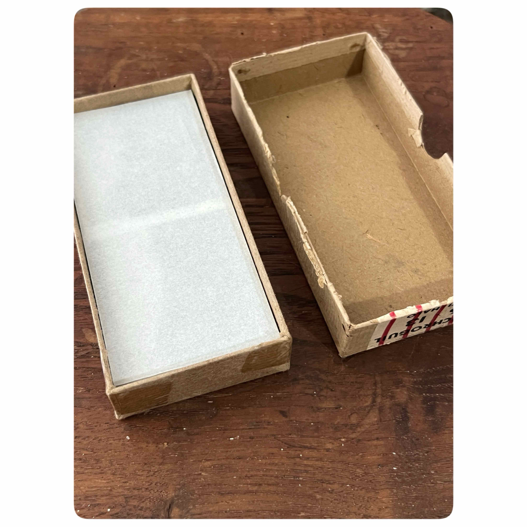 Guilleminot製 ガラス乾板と木製デュアルレンズ装置