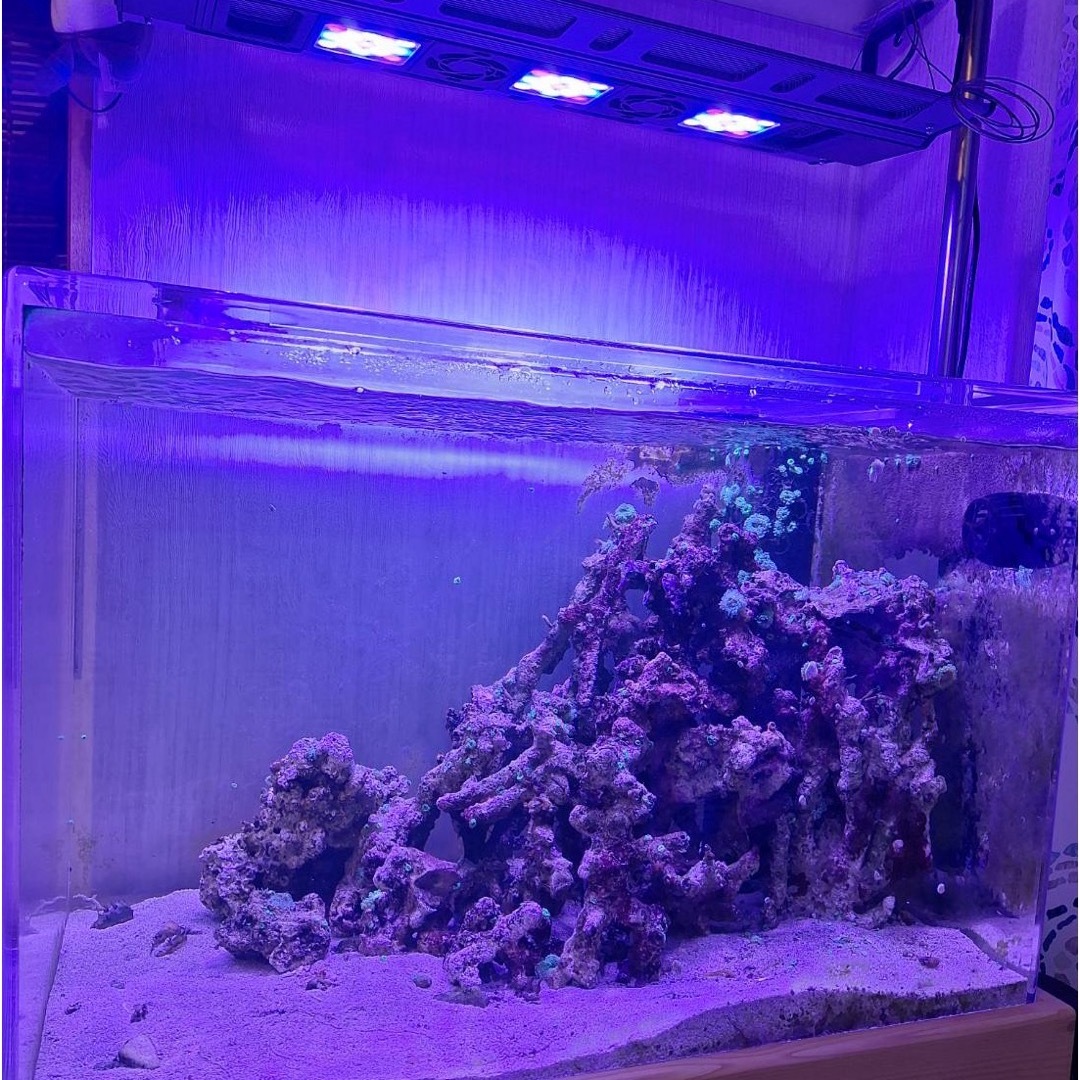 オーバーフロー水槽一式 アクリル750×500×500スプラッシュオリジナルの