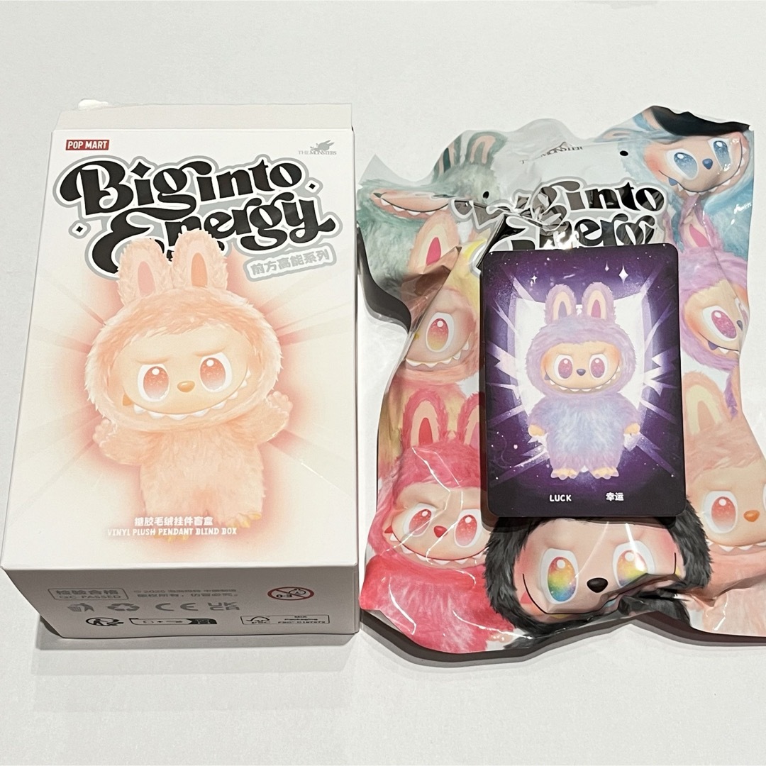 正規品・未開封】Labubu Big into Energy 2箱 ⑤ 2個 未開封 本物