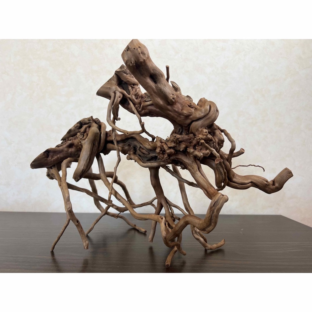 13004 ブランチウッド 流木 アクアリウム 沈水確認済 ペット用品