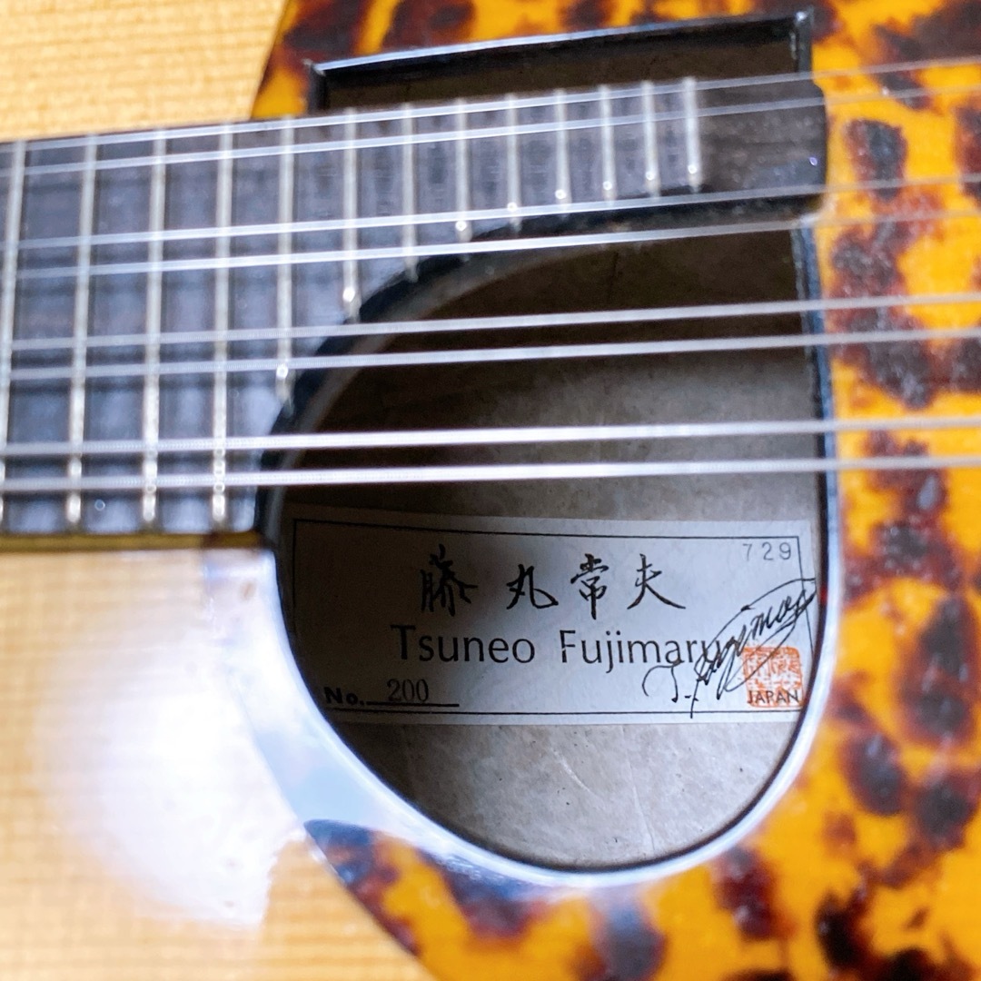 入手困難 マンドリン 藤丸常夫 NO.200 希少 セミハードケース付 おまけ