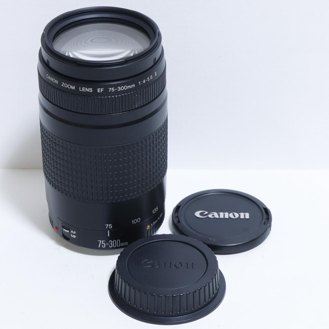 ◇レンズフィルター付&高速AF◇Canon純正 300mm超望遠レンズ