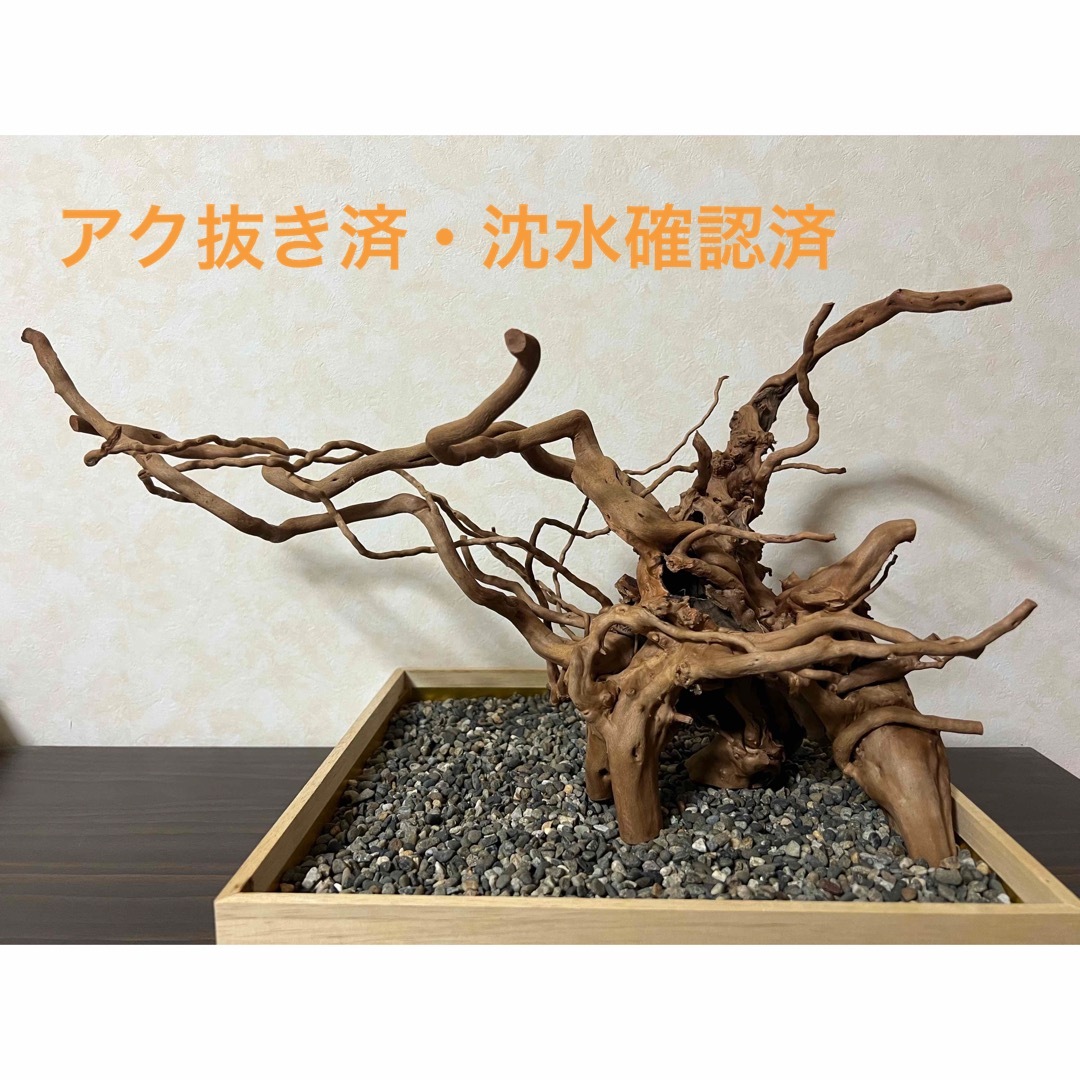 MDW-6763ブランチウッド 流木 枝流木 アクアリウム