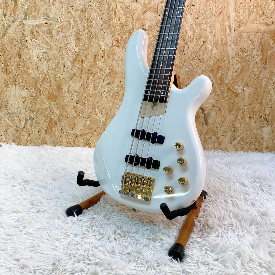 FERNANDES FRB-100 フェルナンデス 5弦ベース GOTOH