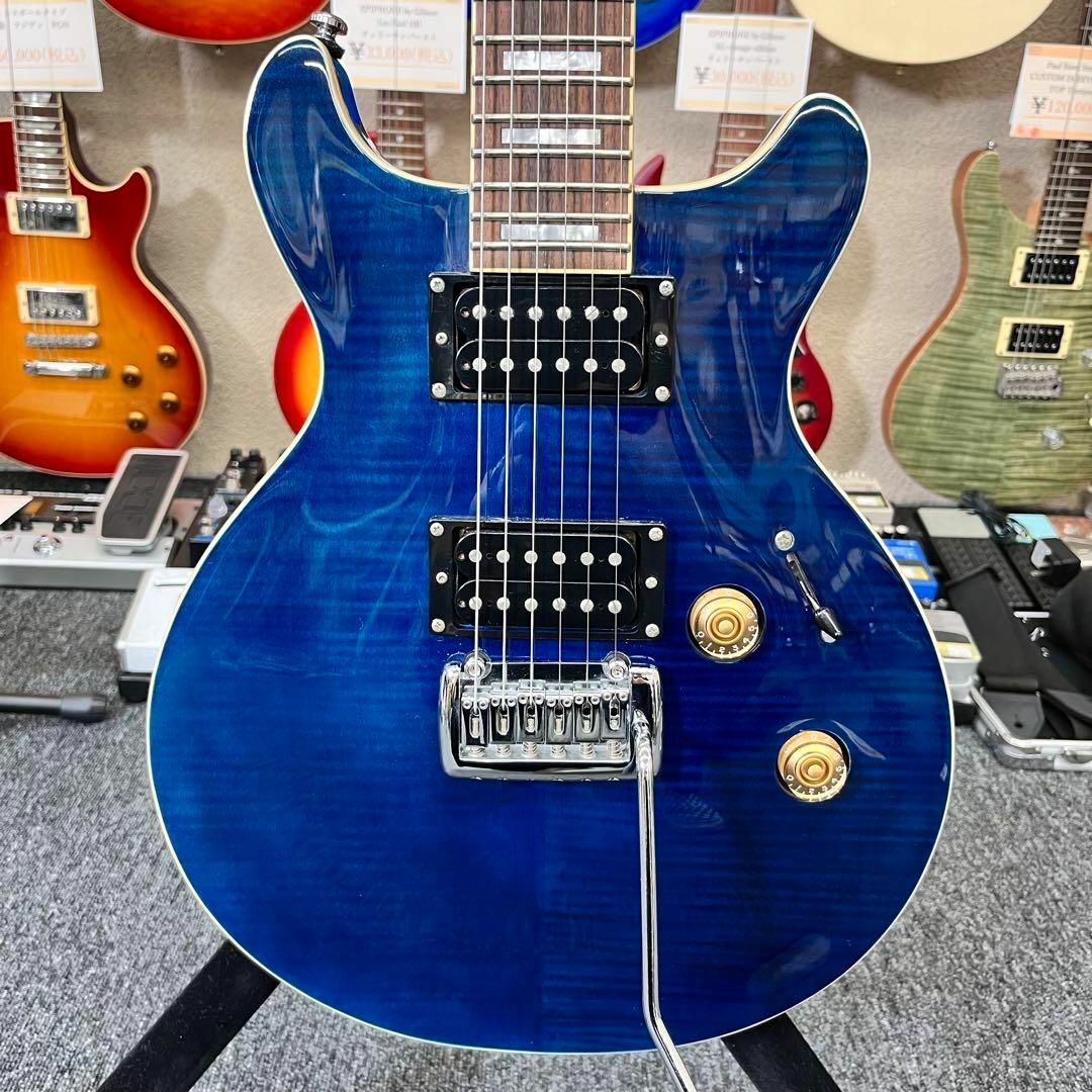 ギター Grass Roots GUITARS Knight MODEL ギター Grass Roots GUITARS