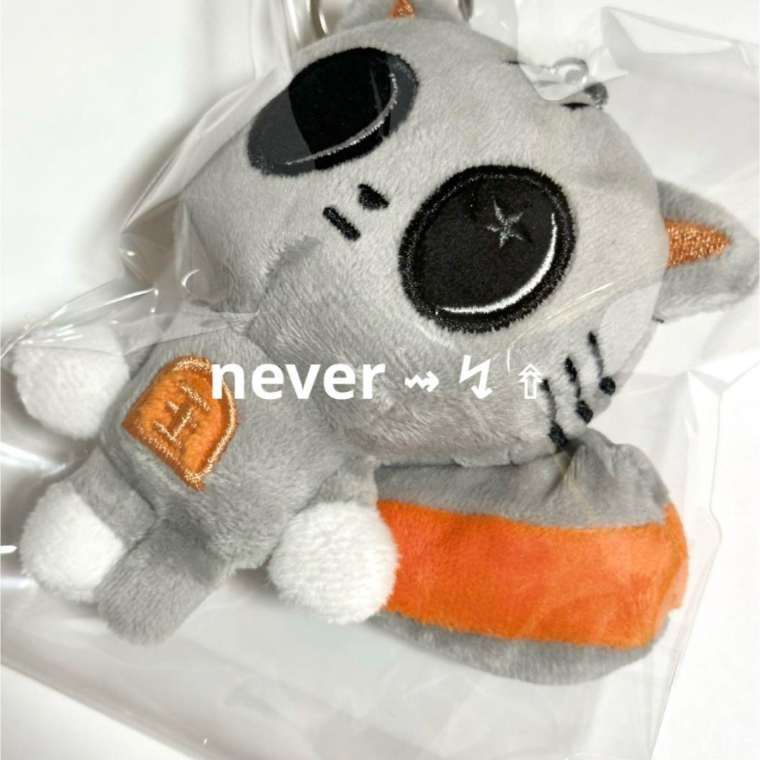 公式正規品TXT トゥバテヒョン プルバトゥ ダゴニャン キーリング