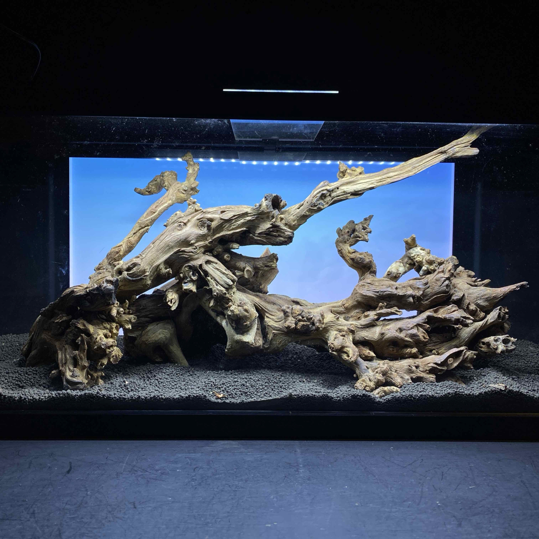 希少廃盤品】ADA 20周年記念 プロシザースストレートブラック【新品未