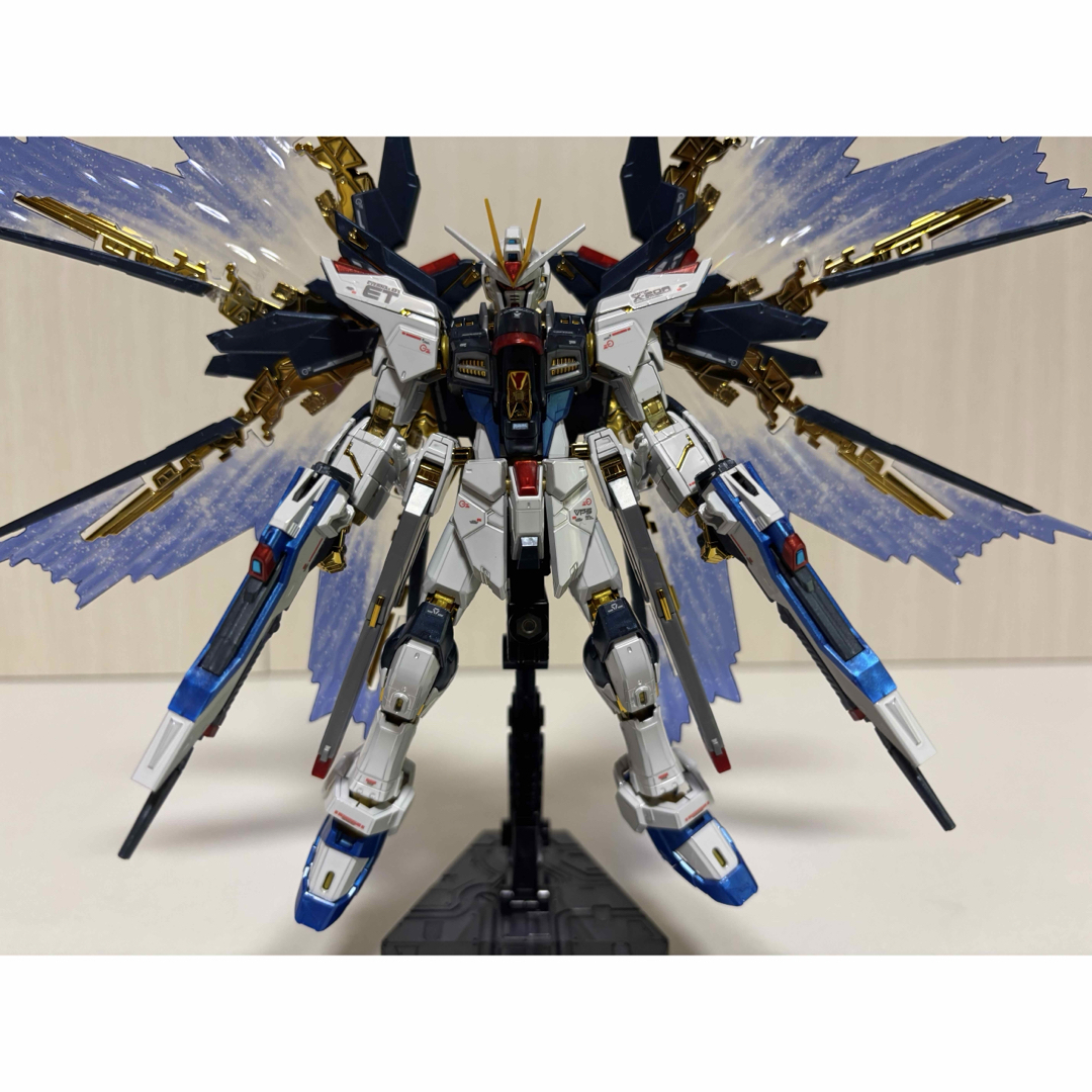 RG ストライクフリーダム チタニウムフィニッシュ 天空の翼 HG