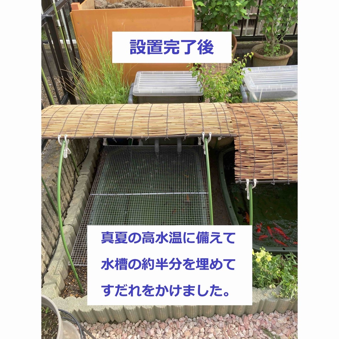 DIY】三段式外部ろ過装置（個人製作濾過装置）【メダカ・金魚・錦鯉の屋外