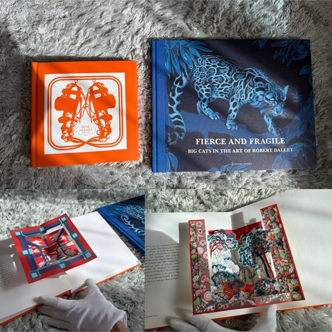 エルメス 飛び出す絵本 画集 2冊セット 写真集 ロバート ダレ 画集