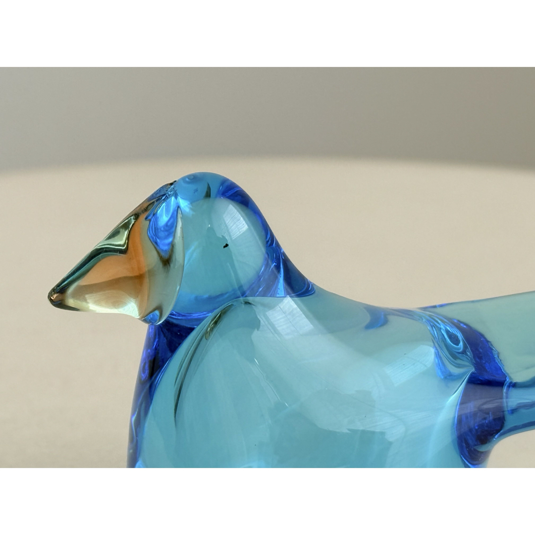 シエッポ ライトブルー ・セビリアオレンジ バード イッタラ