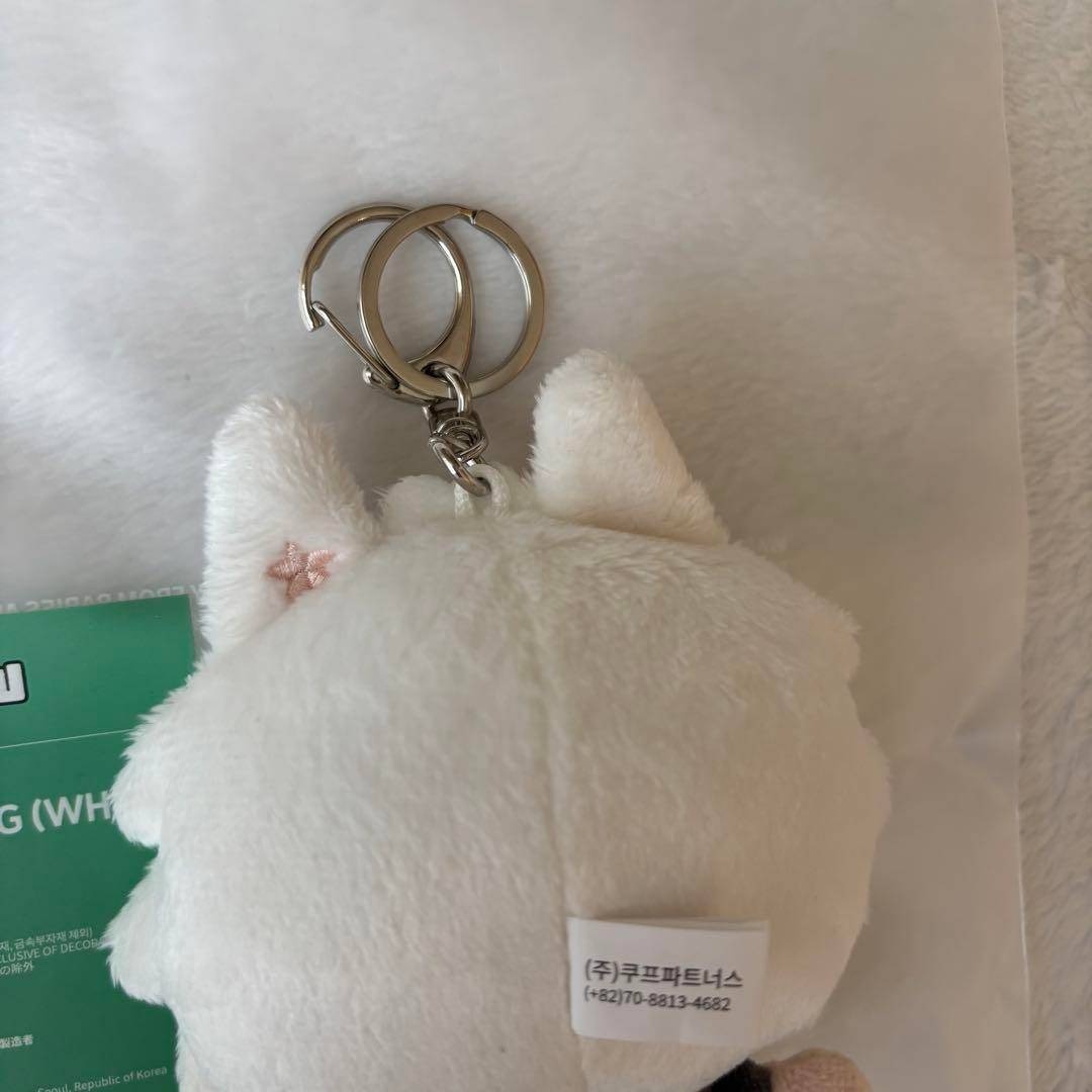 プルバトゥ ヨンモン 初期キーリング スビン TXT 新品 公式 txt