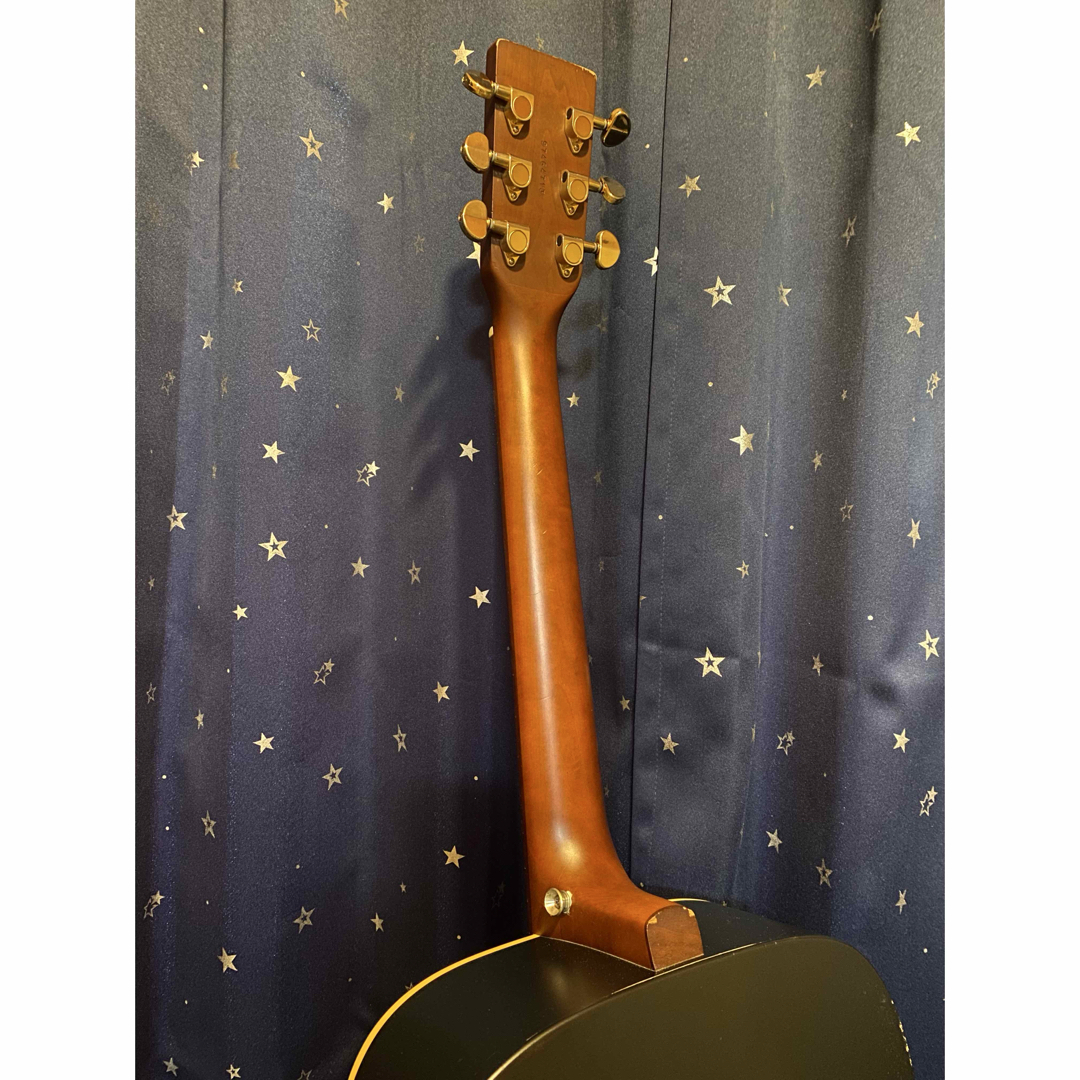 Art & Lutherie Wild Cherry (エレアコ仕様)