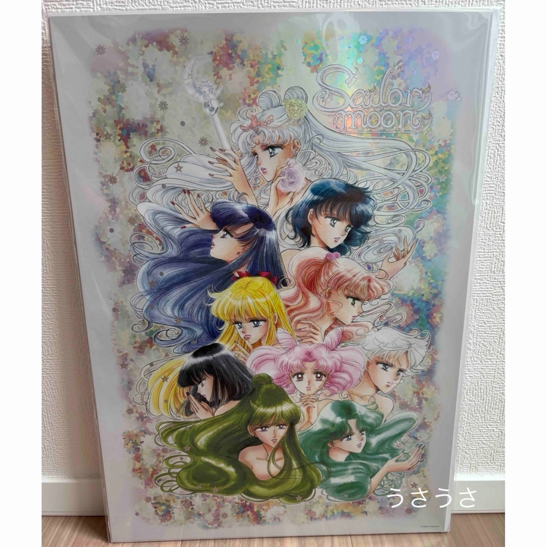 セーラームーンミュージアム 『美少女戦士セーラームーン』オーロラ