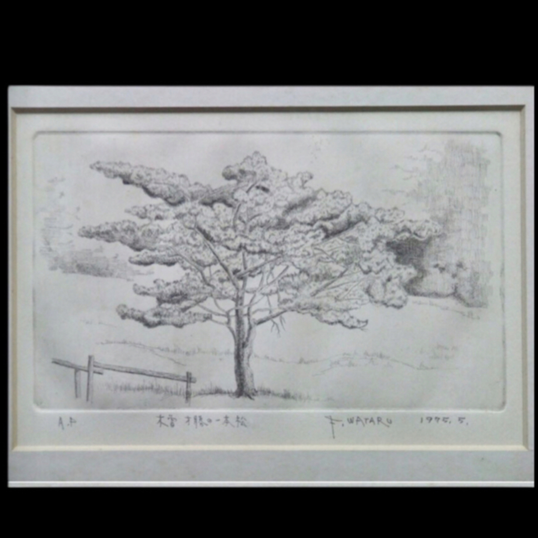 AP】藤岡亘「木曽才勝の一本松」エッチング 1975年 直筆サイン 額装