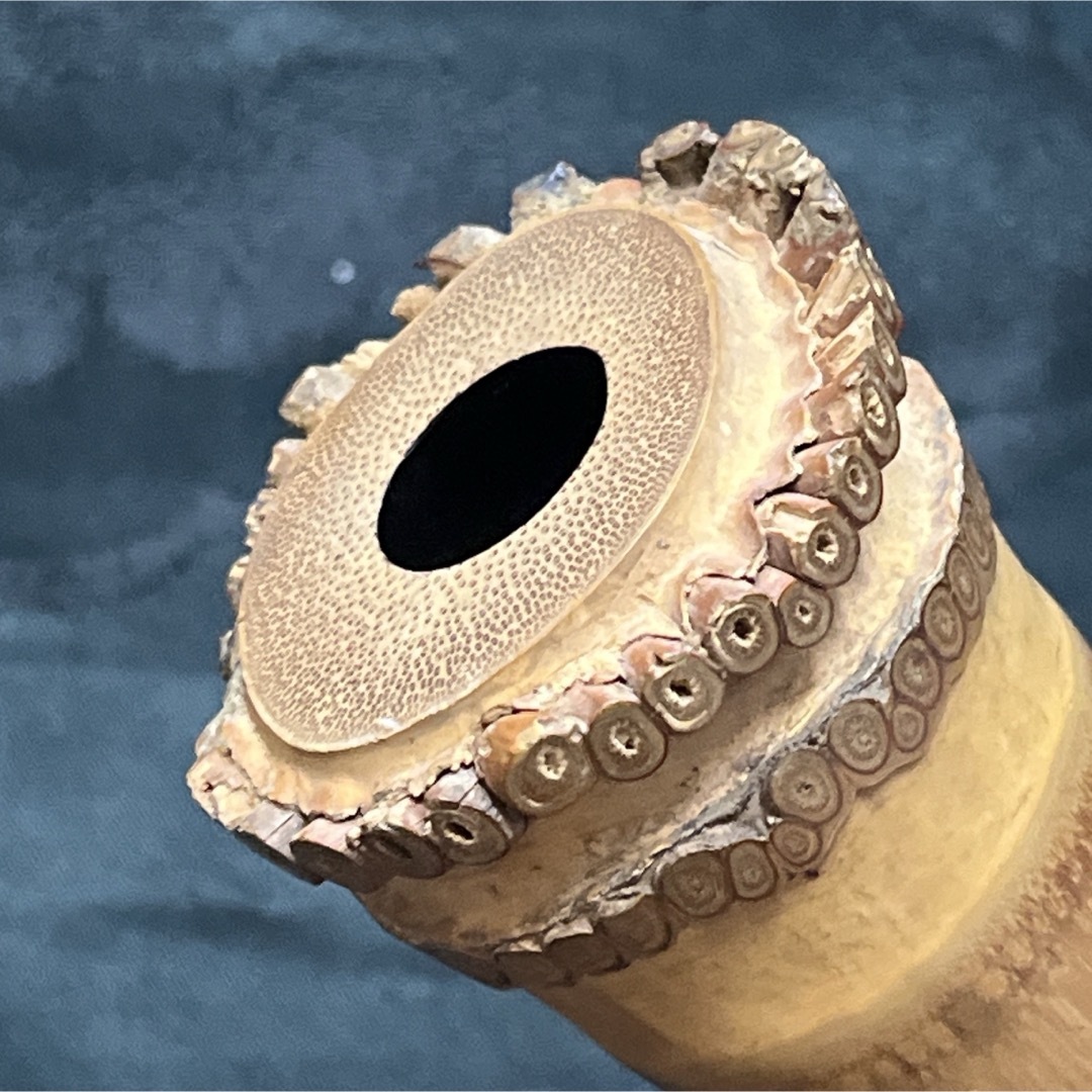 尺八 琴古流 在銘 中継ぎ緩み無し 一尺八寸管 籐巻