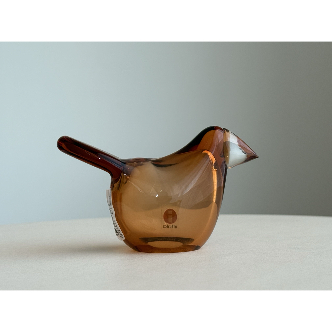 限定 イッタラ iittala バード スコープ シエッポ 卸売 オレンジ