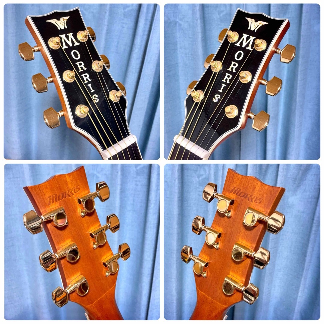 牛骨】モーリス！G-50！【弾き易く調整☆新品の弦】 牛骨】モーリス！G-