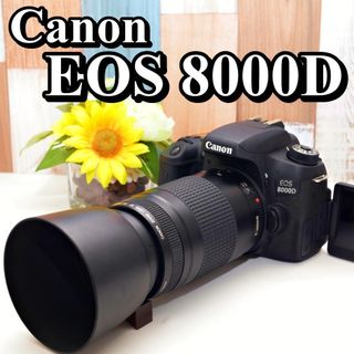 Canon キャノン デジタルカメラ 9台 動作未確認 ジャンク 修理用 Canon