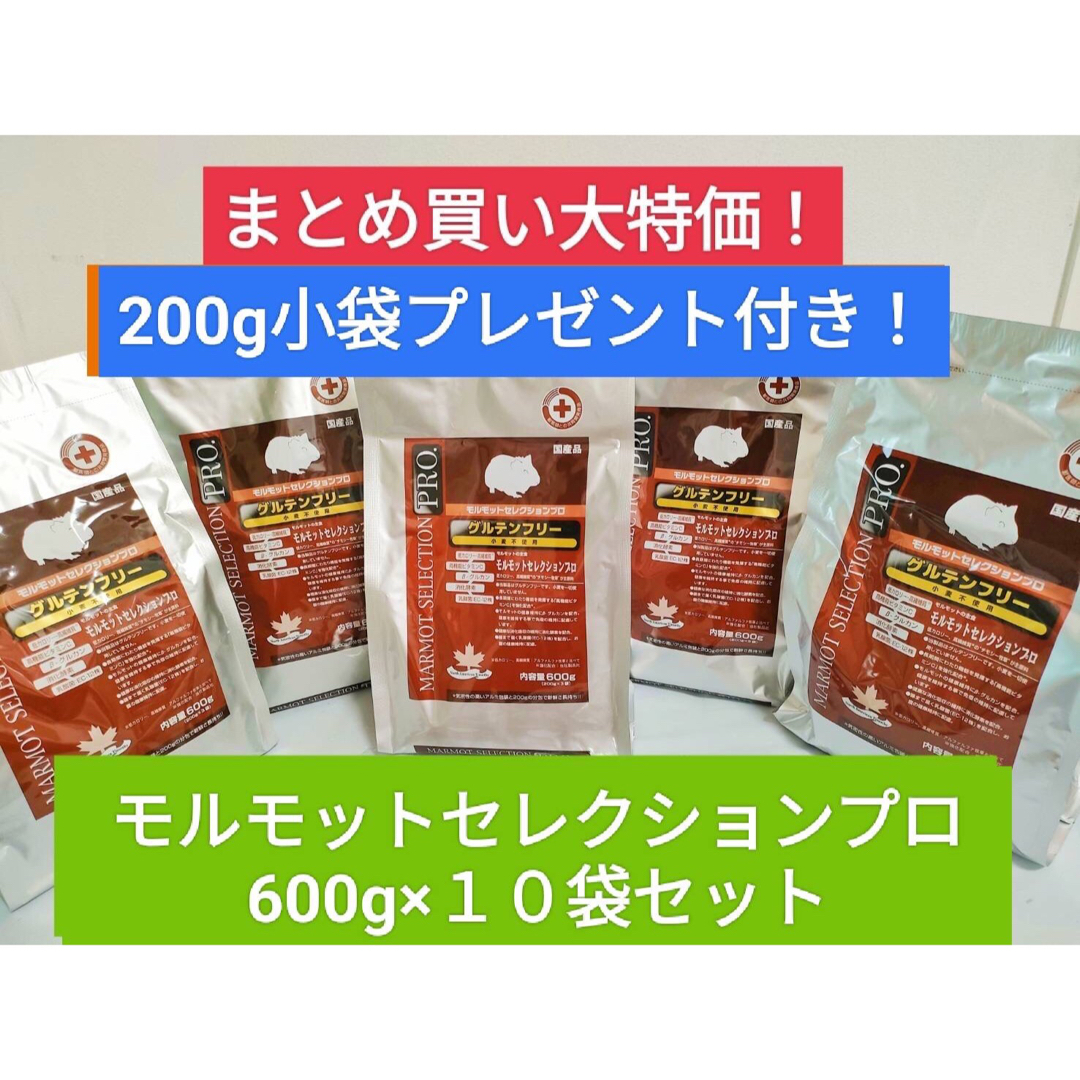 2024 【まとめ買い大特価】モルモットセレクションプロ 600g×10袋セット